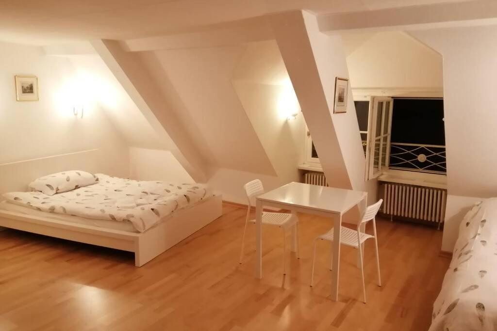 شقة بازل  في Studio F Am Barfusserplatz Central Old Town المظهر الخارجي الصورة